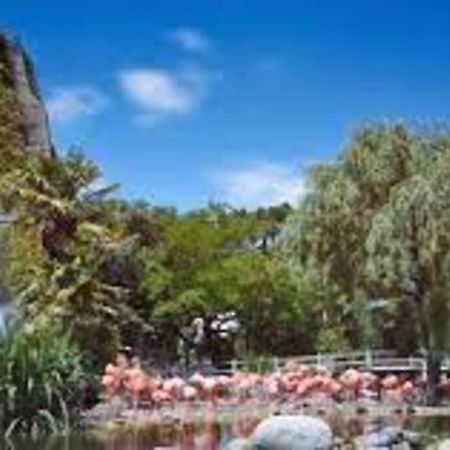 Maison De Village Et Jardin , A Mornac Sur Seudre Екстер'єр фото